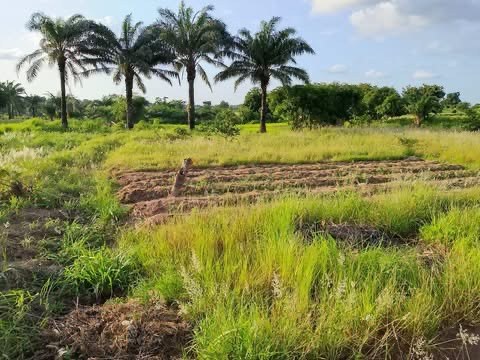 Additional view of Plot of Land for Sale