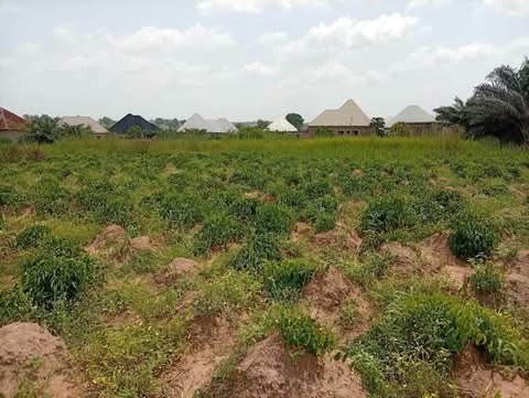 Additional view of 100 x 90 Plot of Land