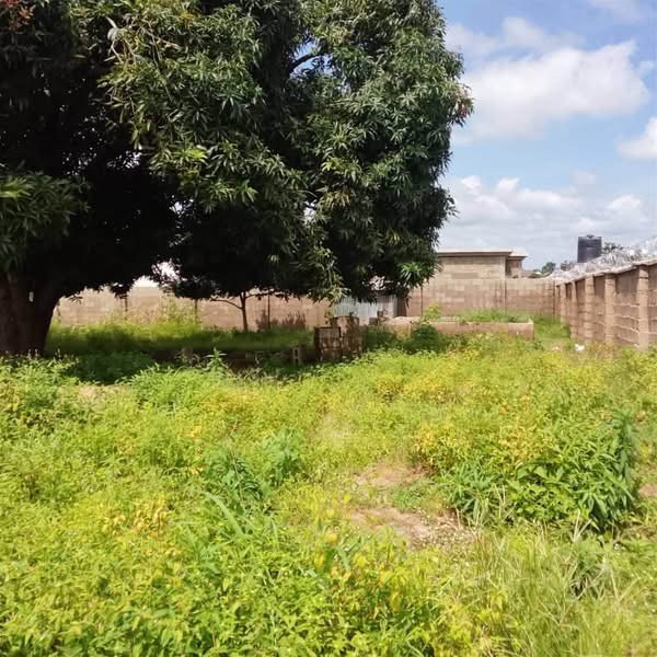 Additional view of Prime Fenced Land for Sale