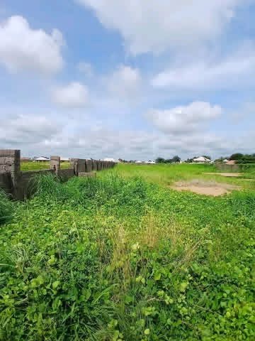Additional view of Fenced Land for Sale in Nyima