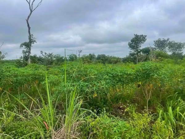 Additional view of Double Plot of Land for Sale