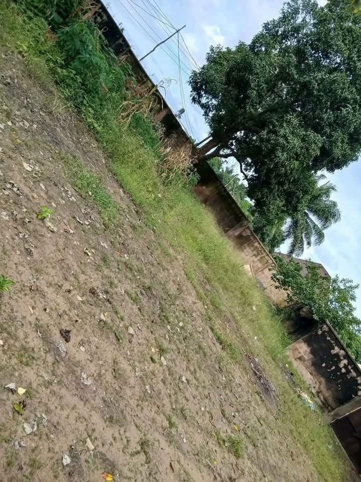 Additional view of 4 Bedroom Bungalow with Security House