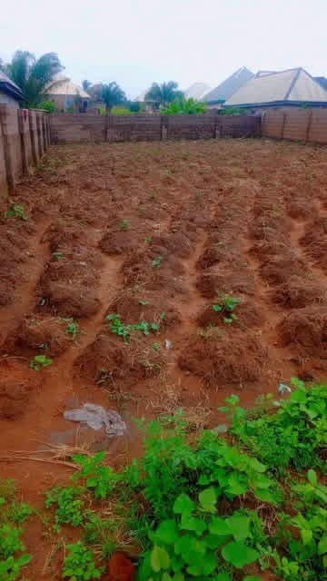 Additional view of Land for Sale at Jomatek Water Factory