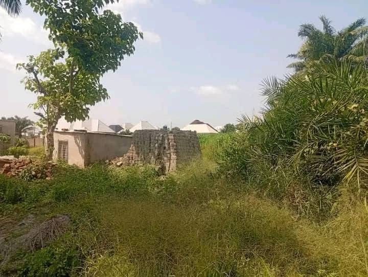 Additional view of 50/50 Plot with Foundation for Sale