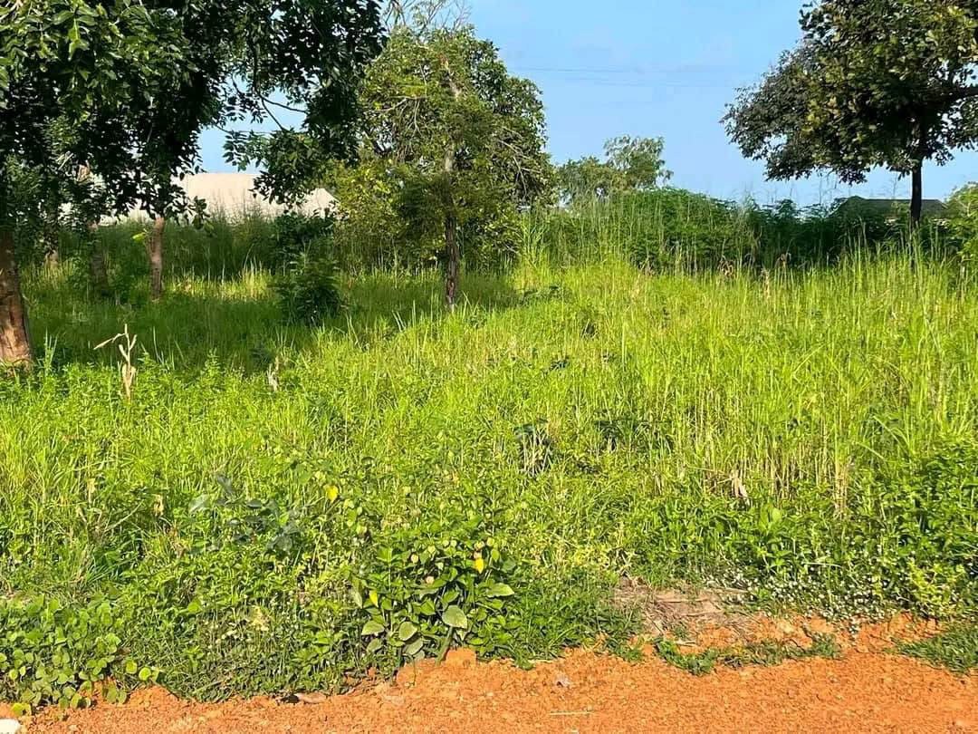 Additional view of 100x100 Plot of Land for Sale