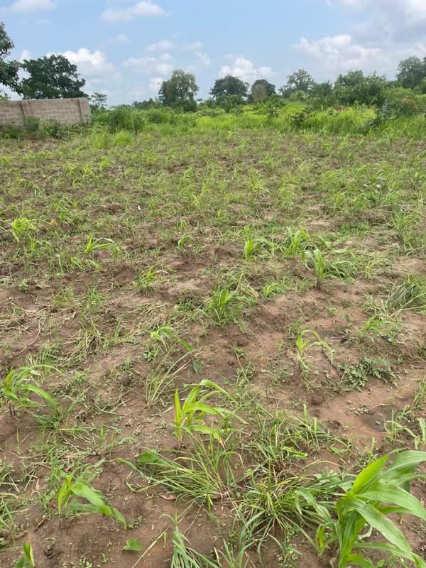 Distress Sale Land Plot Welfare Quarters Makurdi for sale in Welfare Quarters, immediately after Tse Chivir, Makurdi, Benue