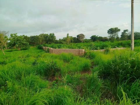 Additional view of Double Plots of Land for Sale