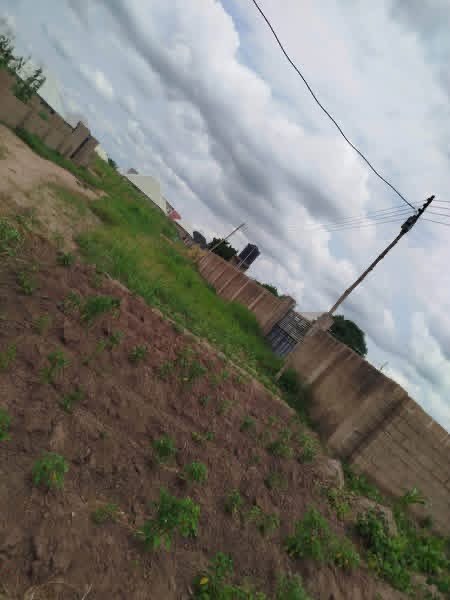 Additional view of Standard Self-Contain with Chicken House