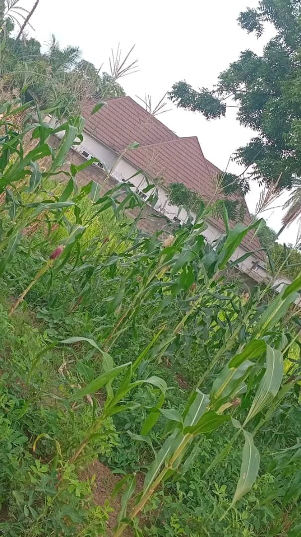 Additional view of Fenced Land for Sale Off Kashim Ibrahim