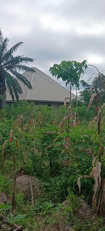 Additional view of Landed Property for Sale in Yaikyo
