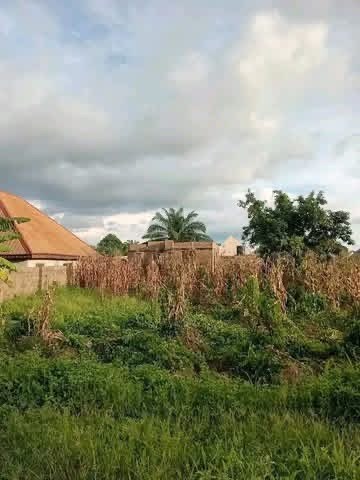 Additional view of Developed Residential Plot in Achusa Makurdi