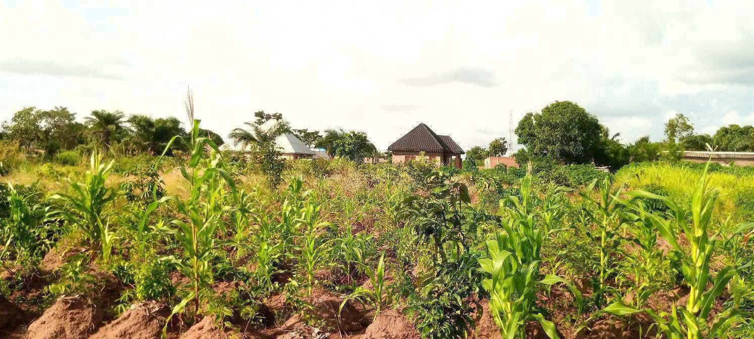 Additional view of Strategic Land in Yaikyo Layout Makurdi