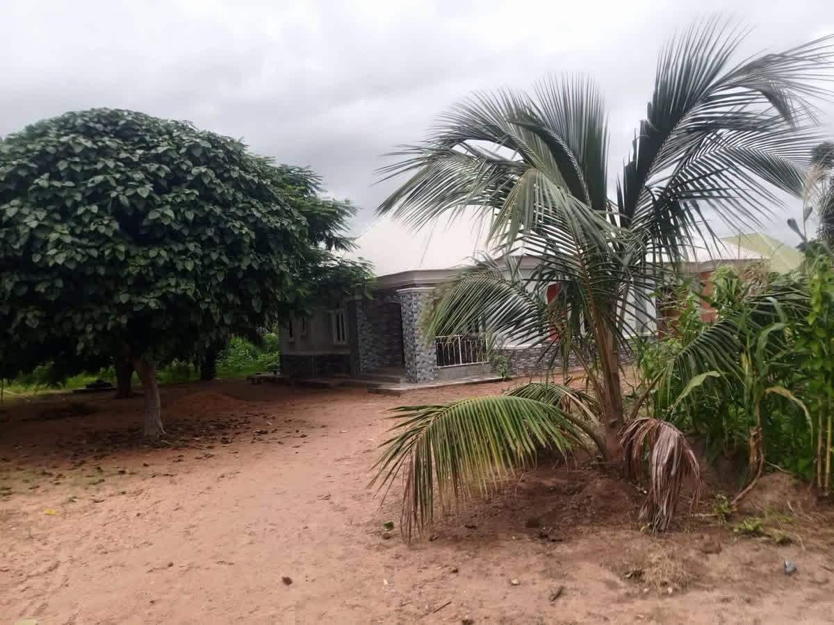 Additional view of Spacious Three Bedroom Flat in Tyomu