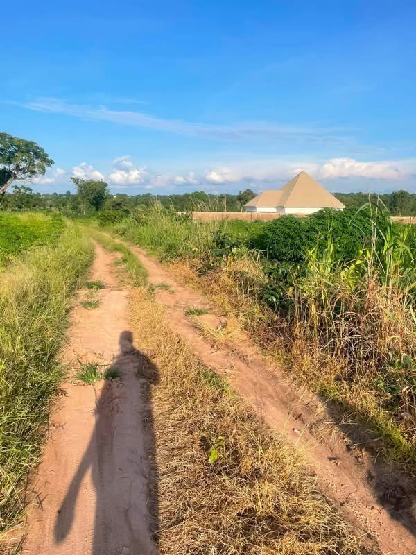 Additional view of Dry Land in Mbaikya