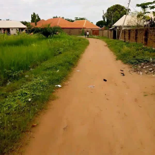 Additional view of 100x50 Plot of Land for Sale