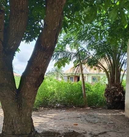 Additional view of Prime Land for Sale at International Market