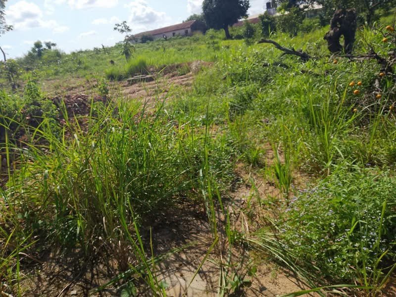 Additional view of Plot of Land with Well in Mkar