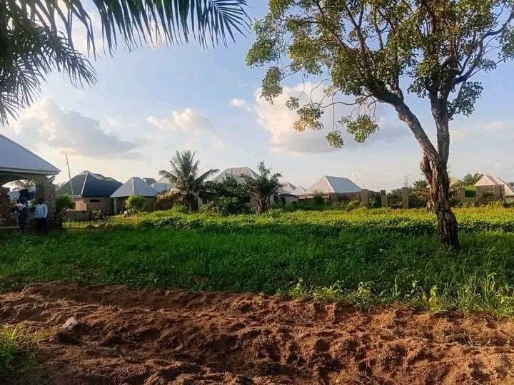 Plot of Land for Sale for sale in Gaadi Extension, Tse Adi, Makurdi, Benue
