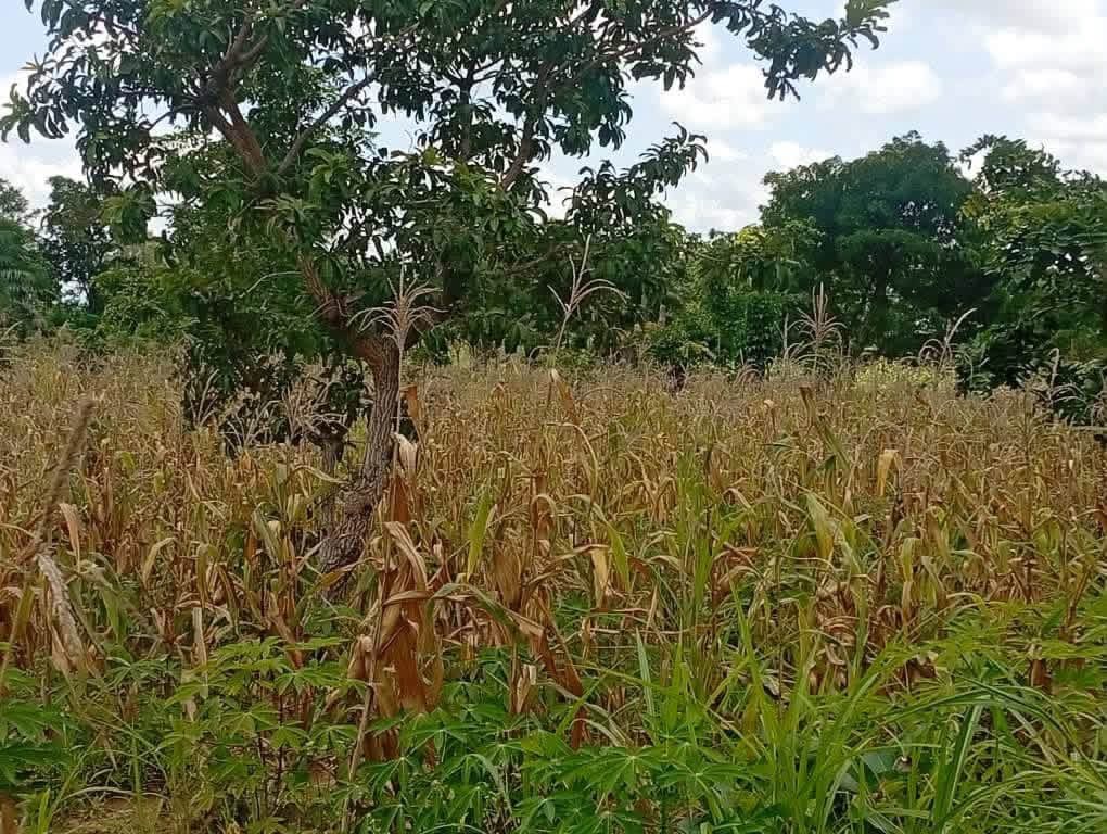 Additional view of Prime Land for Sale in Tse Poor