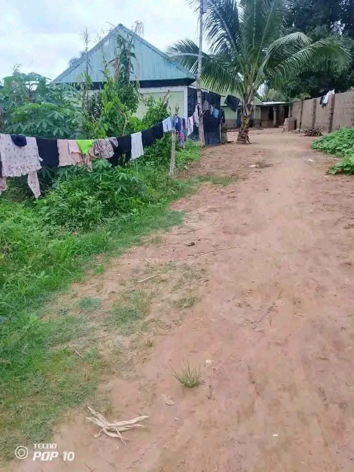 Additional view of Clean Self-contained Units for Sale
