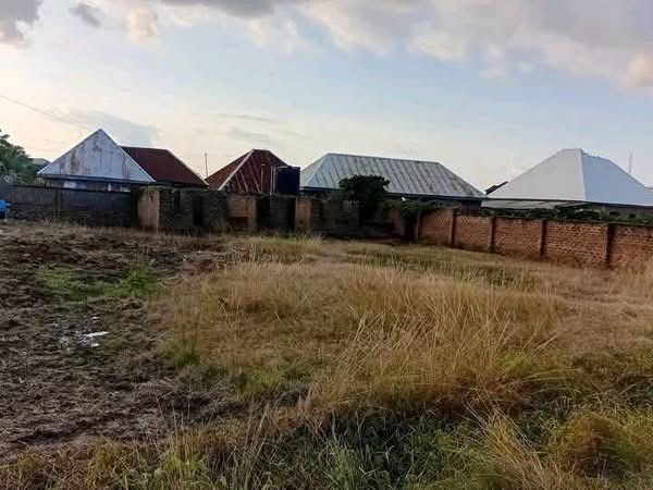 Additional view of Uncompleted 4-Unit Self-Contain Property