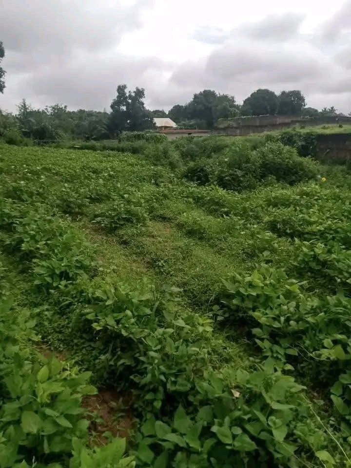 Additional view of Land for Sale