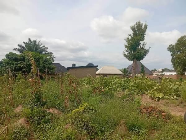 Additional view of 100x100 Plot of Land for Sale