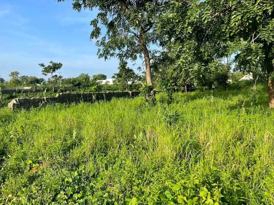 Additional view of 100x100 Plot of Land for Sale