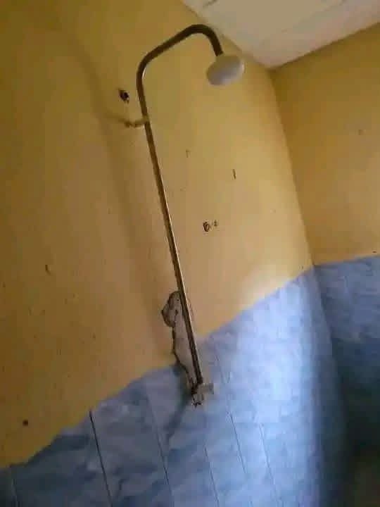 Additional view of Neat Two Bedroom Apartment