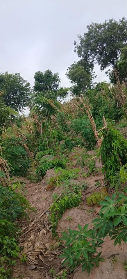 Landed Property for Sale in Yaikyo for sale in Yaikyo, Makurdi, Benue