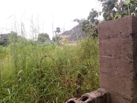 Additional view of Fenced Land in Nyon Layout