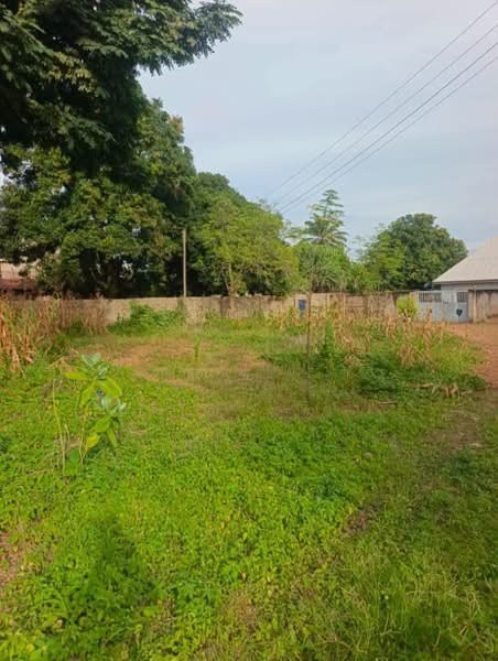 Additional view of Land for Sale at High Level