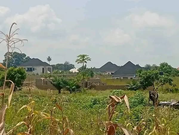 Additional view of 50/50 Plot with Foundation for Sale