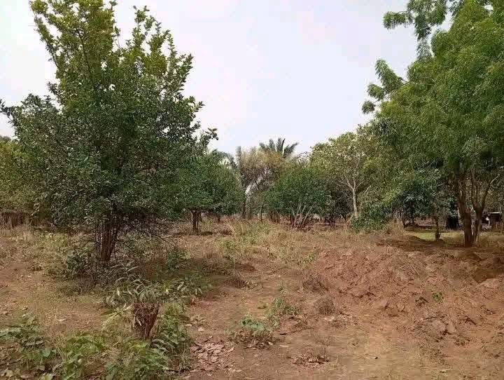 Additional view of Prime Land for Sale Makurdi