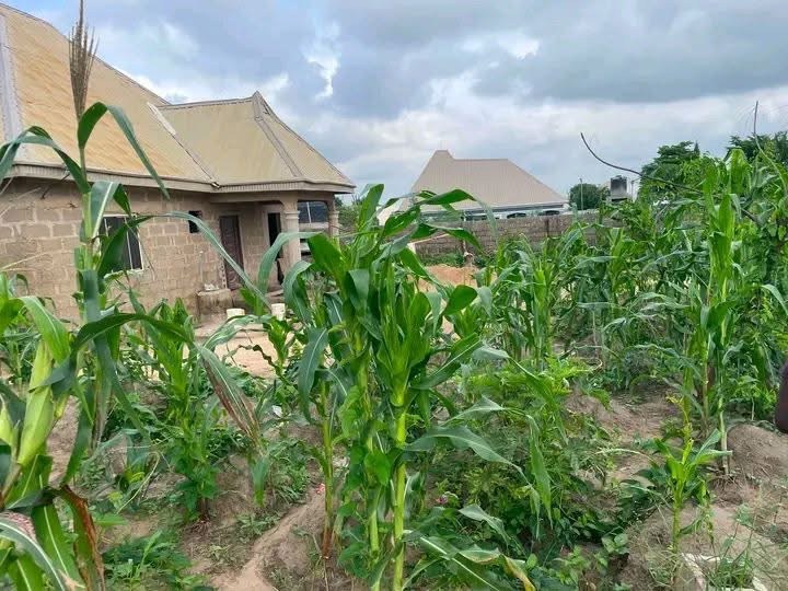 Additional view of Uncompleted Single Room Self-Contained Property