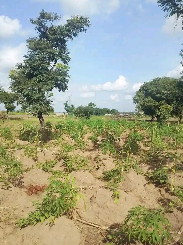 Prime Land for Sale in Yaikyor for sale in Yaikyor, Makurdi, Benue