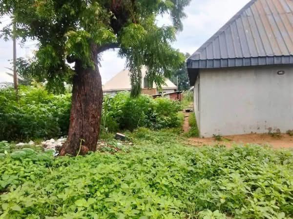 Additional view of Land for Sale on George Akume Way
