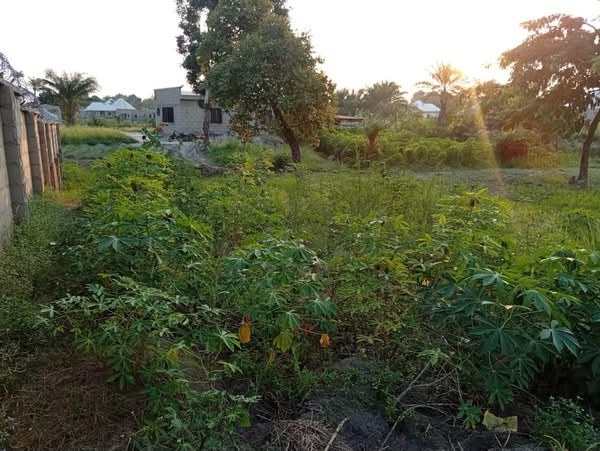 Additional view of 100x100 Land Behind Ovation Hotel