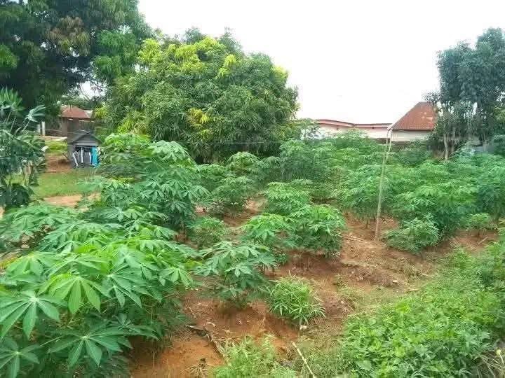 100x100 Land for Sale for sale in Nyogyongu, Makurdi, Benue