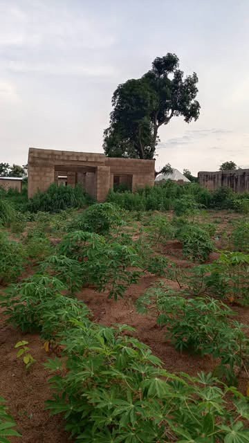 Land for Sale in Agbile, Gboko for sale in Agbile, Gboko, Benue