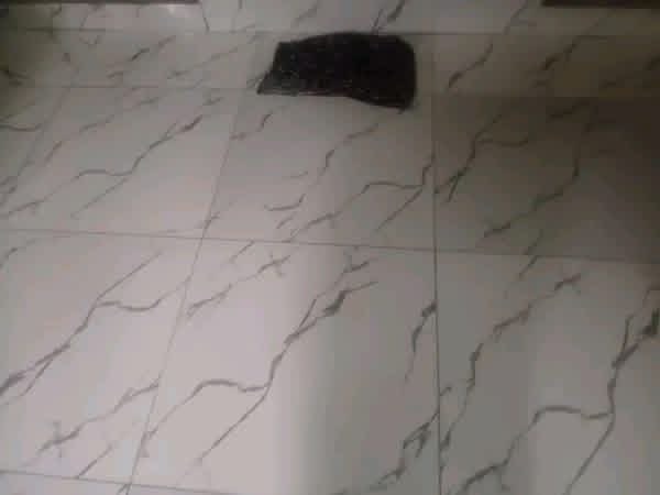 Additional view of Standard 2-Bedroom Apartment for Rent