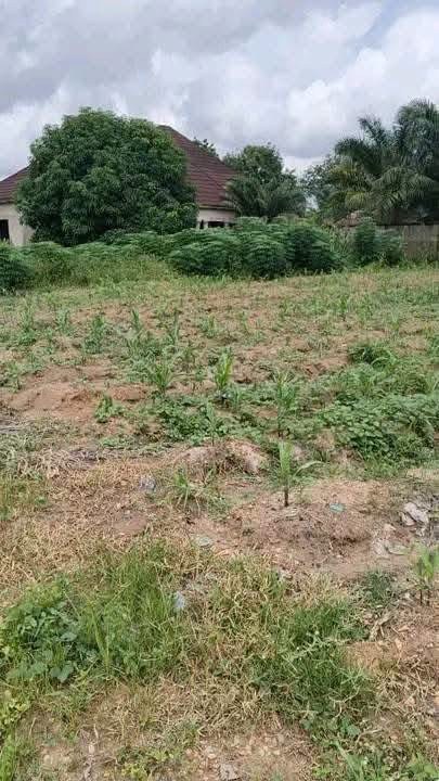Additional view of Prime Land for Sale in New-GRA Makurdi