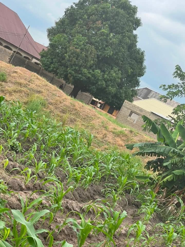 Strategic Plot of Land for Sale for sale in Adeke, Makurdi, Benue