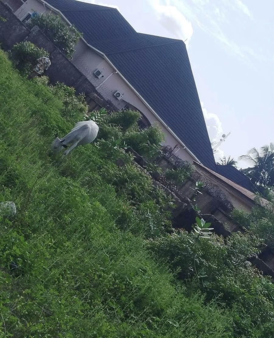 Fenced Land for Sale in Old GRA for sale in Old GRA, Makurdi, Benue