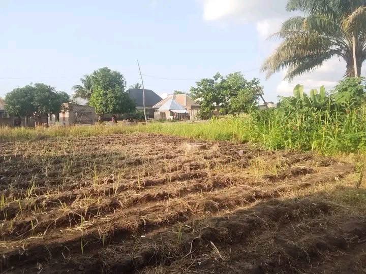 Additional view of Standard Two Bedroom Flat in Makurdi