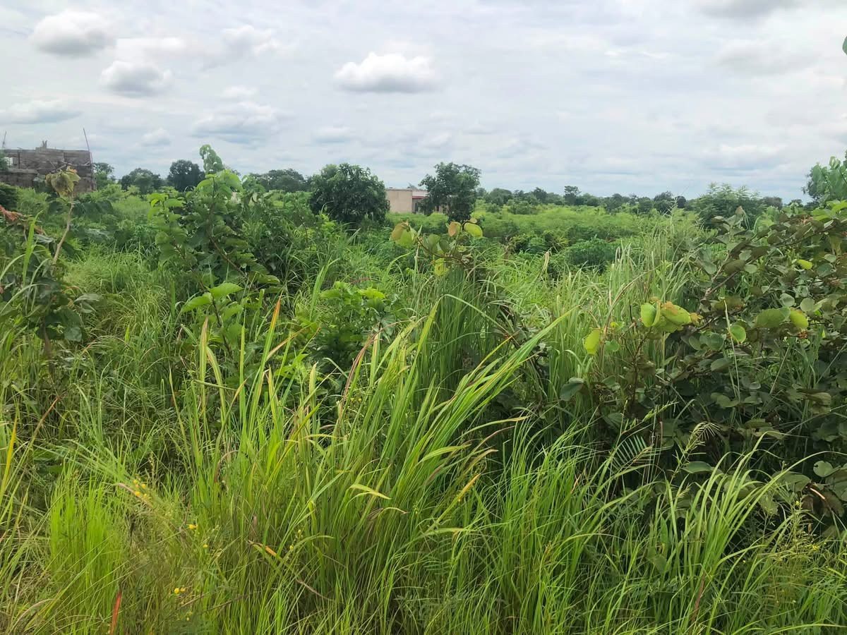 Residential Plot for Sale for sale in Welfare Quarter, Makurdi, Benue
