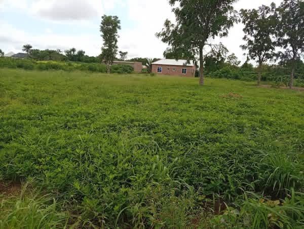 Additional view of Multiple Purpose Land for Sale in Yaikyo