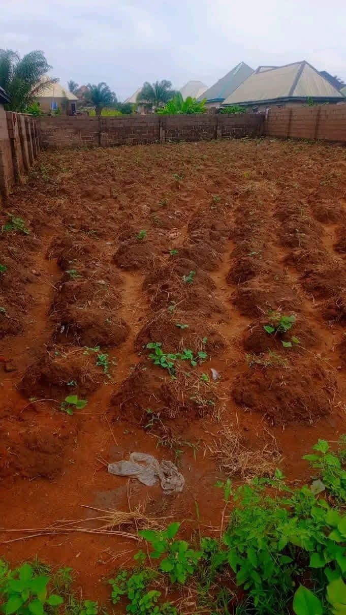 Land for Sale at Jomatek Water Factory for sale in Nyon Layout, Makurdi, Benue