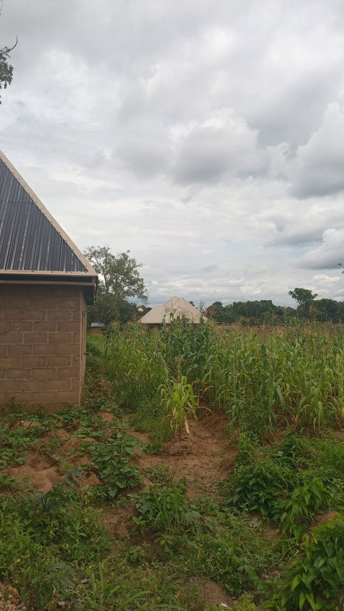 Additional view of Multiple Plots of Land for Sale