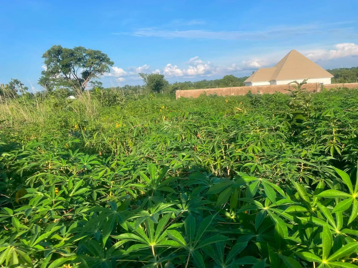 Dry Land in Mbaikya for sale in Mbaikya, former Ter Makurdi Settlement, Makurdi, Benue